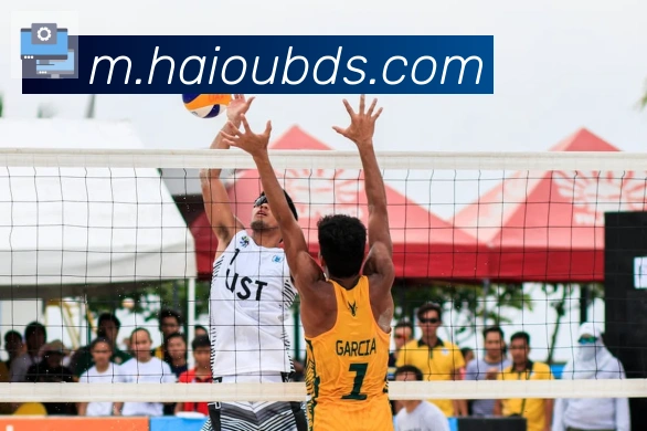 开云kaiyun网页版平台生态图