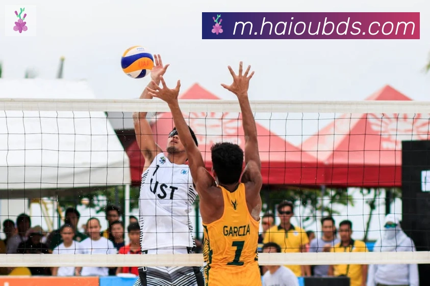 开云kaiyun网页版品牌故事