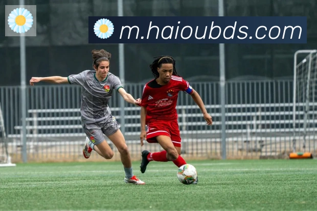 开云kaiyun网页版APP 高清赛事图