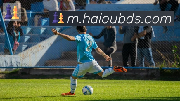 开云kaiyun网页版荣誉