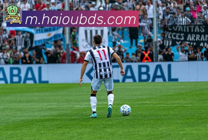 开云kaiyun网页版荣誉