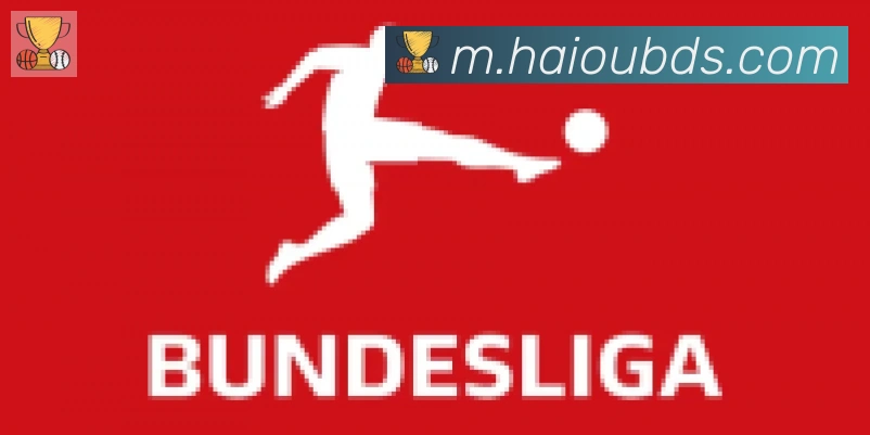 开云kaiyun网页版合作伙伴