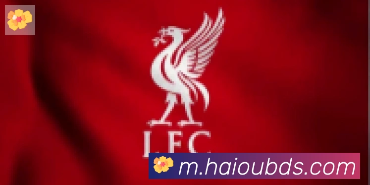 开云kaiyun网页版合作伙伴