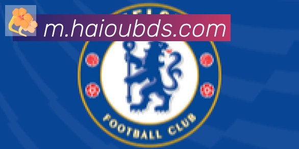 开云kaiyun网页版合作伙伴